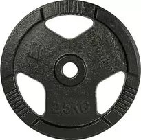 Ketaus svorio diskas inSPORTline Hamerton, juodas, 2,5kg, 30 mm