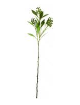 House Doctor - Artificial Branch, Hdligustrum, Gre - Džiovintos gėlės - Žalia