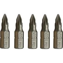 Antgalis PZ 1/4" (6.3mm), 5vnt. - PZ 3 x 25mm