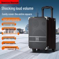Newman Portable Outdoor K-song Trolley Speaker CN plug (adapter included)