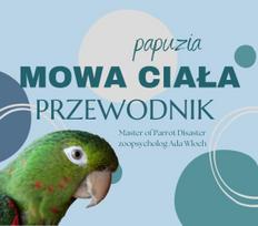 Przewodnik Parrotplanet - Papuzia Mowa Ciała - Poradnik Początkującego  Papuziarza
