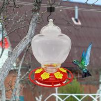 Lauke kabinamas kolibrių lesykla, nuimama, nepralaidi, paukščių lesykla, maisto talpykla sodui, kiemui hummingbird feeder skaidri