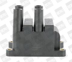 Ritė, uždegimas BorgWarner (BERU) ZS556