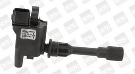 Ritė, uždegimas BorgWarner (BERU) ZSE083