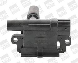 Ritė, uždegimas BorgWarner (BERU) ZSE136