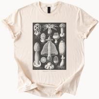 Basidiomycete Mushroom Scientific Illustration Shirt Fungi Graphic Botanical Mycology Art Nature Study Anatomical Weird Goth Woodland Tee 130