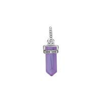 Pandora 925 silver purple talisman pendant for women 399185C01