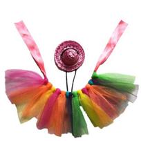 Anti Wear Tutu Skirt Yarn Bearded Dragon Dress Beautiful Lizard Dress  Bearded Dragon