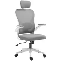 Ergonominė biuro kėdė su pakeliamais porankiais ir reguliuojama juosmens atrama, pilka