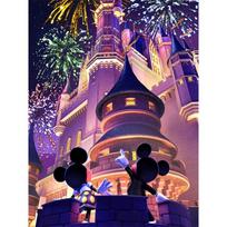 Disney Pasakų pilies fejerverkų naktis 5D deimantinė tapyba pilna deimantų PASIDARYK pats rankų darbo deimantinė tapyba animacinis dekoravimo tapybos rinkinys Round 20x30cm pink