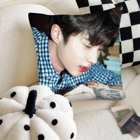 Byeon Woo-seok Korea Pillow Case Fashion Square Pillowcase Bedroom Sofa Room Ins Decoration Leisure 16x16Inch