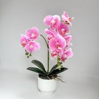 Daugžiedis Imituotas Drugelis Orchidėja PASIDARYK pats Dirbtiniai Augalai Namų Dekoras 02