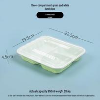 Disposable 3-Compartment Bento Lunch Box