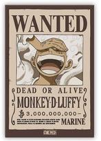 One Piece Standard Magnet Wanted Luffy