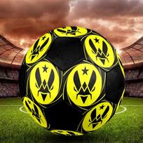 1PC Team Vitality size 5 soccer ball PrahaIndoor Soccer Ball Colorful All Ages Machine Stitched PVC Competition Ready Durable High-Bounce