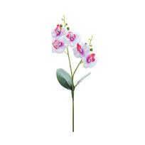 Dirbtinės gėlės drugelis orchidėja pasidaryk pats augalų sienų priedai namų lipdukas White Purple