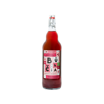 Kombučia su juodaisiais serbentais ir hibisku