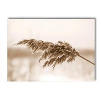 Beige Grass Flower Reed Canvas Painting Autumn Landscape Squirrel Sheep Wall Art Prints Nordic Posters Picture Living Room Decor 21x30cm No Framed