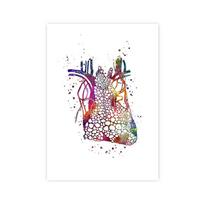 Anatomija Organai Širdis Kepenys Plaučiai Inkstai Smegenys Medicina Plakatas ir Spaudiniai Sienų menas Drobės Tapyba Paveikslai Kambariui Namų Dekorui 21x30cm No Framed