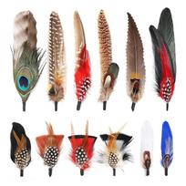 Premium-Hat Natural Feathers 12PCS Colorful Real Feathers