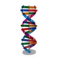 DNA Models Double Helix Structure Teaching Toy ABS Double Helix DIY Human Genes for Biological Science A