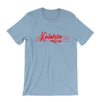 26 Kalakuta Records T-Shirt - Fela Kuti - Record Lable afro beats afrobeat Unisex T-Shirt M