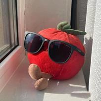 Pomidorų lėlė Pomidorų lėlės pliušinis žaislinis augalinis vaisinis lėlės pagalvė 17cm with glasses