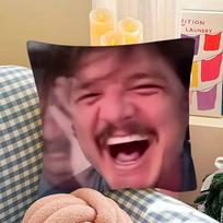 1Pc Funny P-Pedro Pascal M-Mood M-Meme Pillow Case Fashion Square Pillowcase Bedroom Sofa Room Ins Decoration Leisure Peach skin 18*18(CM)-1Pcs