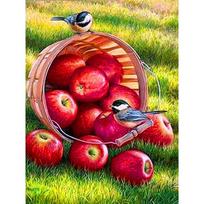 Full 5D Diy Diamond Painting Cartoon Apple and Bird Embroidery Cross Stitch Home Decor Handmade 25x30cm