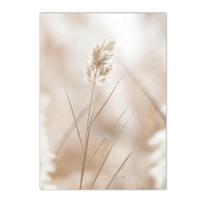 Beigeree posterfo interiordecorationshell reed scalp canvas painting modern wall artfloral printing managing Nordic living rooms 21x30cm No Framed