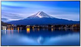 Monitorius Sharp P506 50 colių LFD UHD 700CD/M2 D-LE