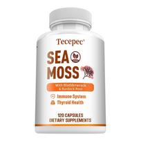 Premium Sea Moss Capsules with Bladderwrack and Burdock Root for Immune and Thyroid Support 120 Capsules 120PCS
