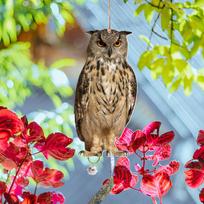 Fake Owl Wind Chime 1 Pcs Easy To Install Garden Decor Realistic Appearancem Versatile Decoration Outdoor Brand New