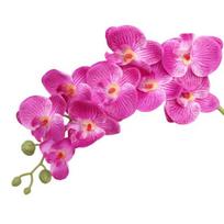 Dirbtinės orchidėjų gėlės ilgais stiebais, realistiškos Phalaenopsis orchidėjos, nereikalaujančios priežiūros, aksominiai žiedlapiai, dirbtinė gėlė, namų dekoras rožinė raudona spalva