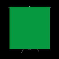 Leitz Portable Green Screen Flocked Background