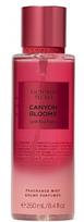 Victoria secret Canyon Blooms - body veil - 250 ml 250ml kūno purškiklis