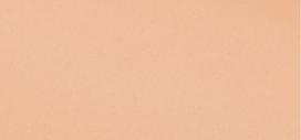 Loreal Balm makeup True Match Hyaluron Tinted Balm 2.5 Neutral Light makiažo pagrindas