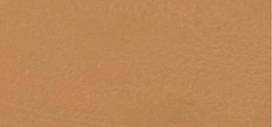 Loreal Balm makeup True Match Hyaluron Tinted Balm 6 Medium Tan makiažo pagrindas