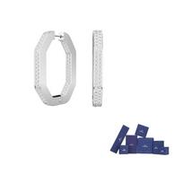 Swarovski Dextera Rhodium plated Earrings Womens F-Original brand box balta