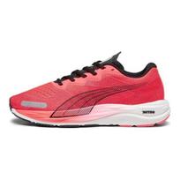 PUMA Velocity Nitro 2 Vyriški žemi bėgimo treniruočių batai Raudoni 195337-16 42.5