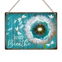 Dandelion & Dragonfly Metal Sign Beautiful Floral Tin Wall Plaque Garden Decor 20X30CM