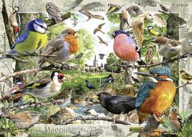 Ravensburger 1000 Puzzle Dėlionė:  Feathered Friends
