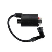 Uždegimo ritė Kohler 24 519 02-S, 2451902S ( prekė negražinama )