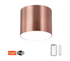 Immax NEO 07320L - LED reguliuojamas lubinis šviestuvas RONDATE 32W/230V 16,5 cm Wi-Fi Tuya rožinis