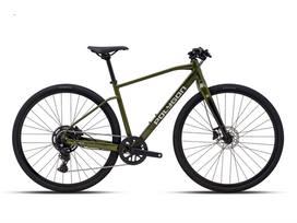 Dviratis 28" POLYGON PATH 3 GREEN