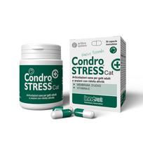 Innovet Condrostress+ Cat pašaro papildas katėms, 30 tabl.