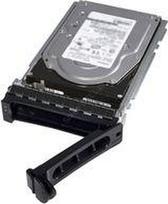 Dell 2TB 3,5 colio SATA III (6Gb/s) serverio diskas (400-AUWX)