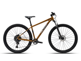 Dviratis 29" POLYGON CASCADE 5 rudas - m
