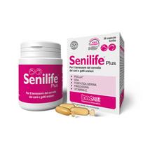 Innovet Senilife Plus pašaro papildas senyviems šunims ir katėms, 30 tabl.