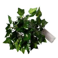 1 Pack Realistic Greenery Vines with 20 LED String Lights Indoor Outdoor Decor for New Year Wall Home Room Office Birthday Party